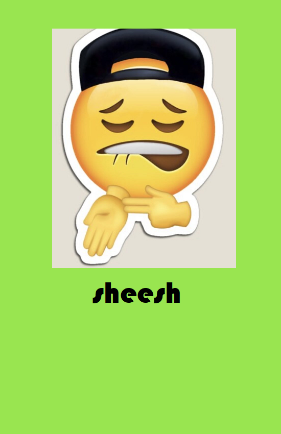 sheesh.png